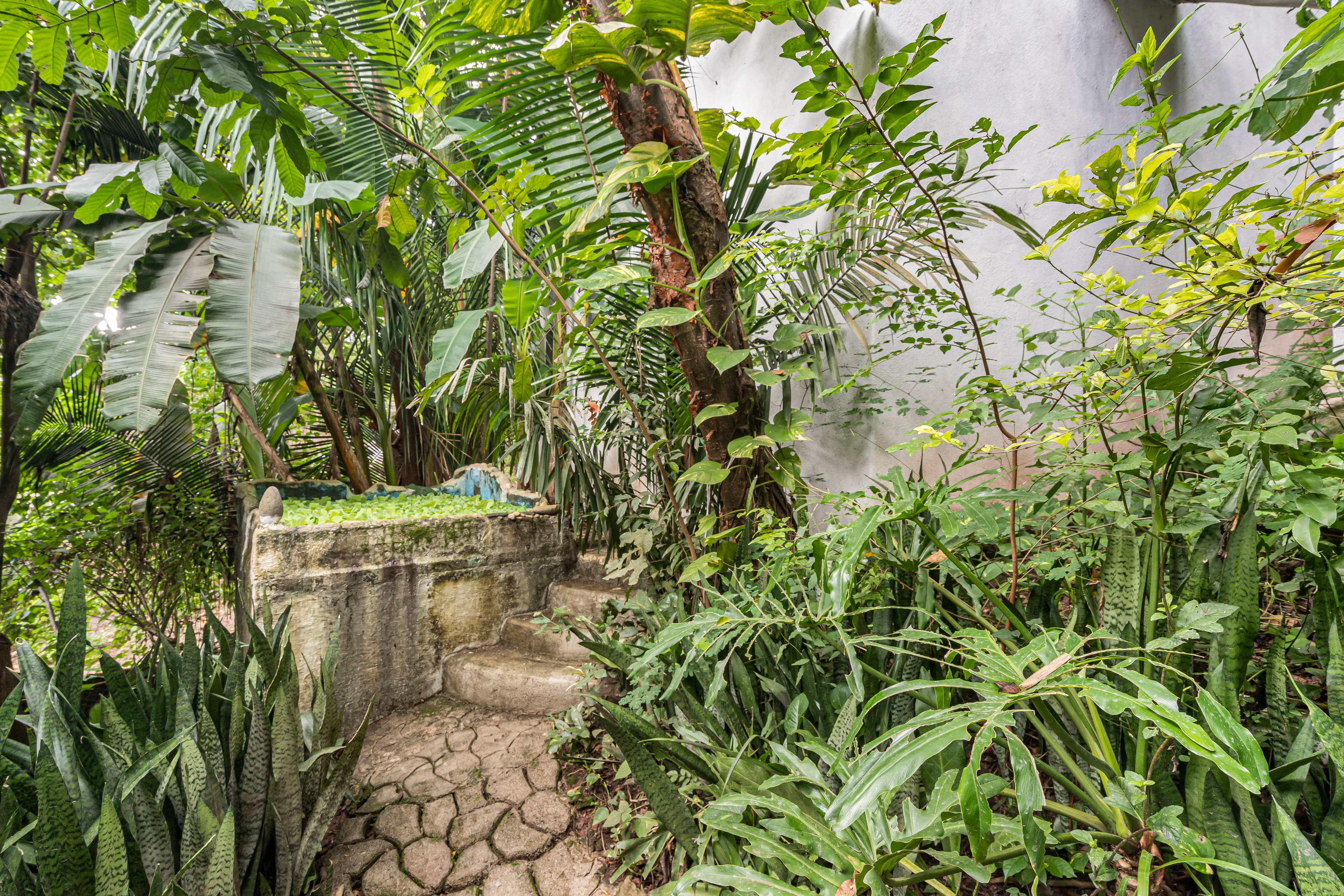 Casa Libélula foto 1