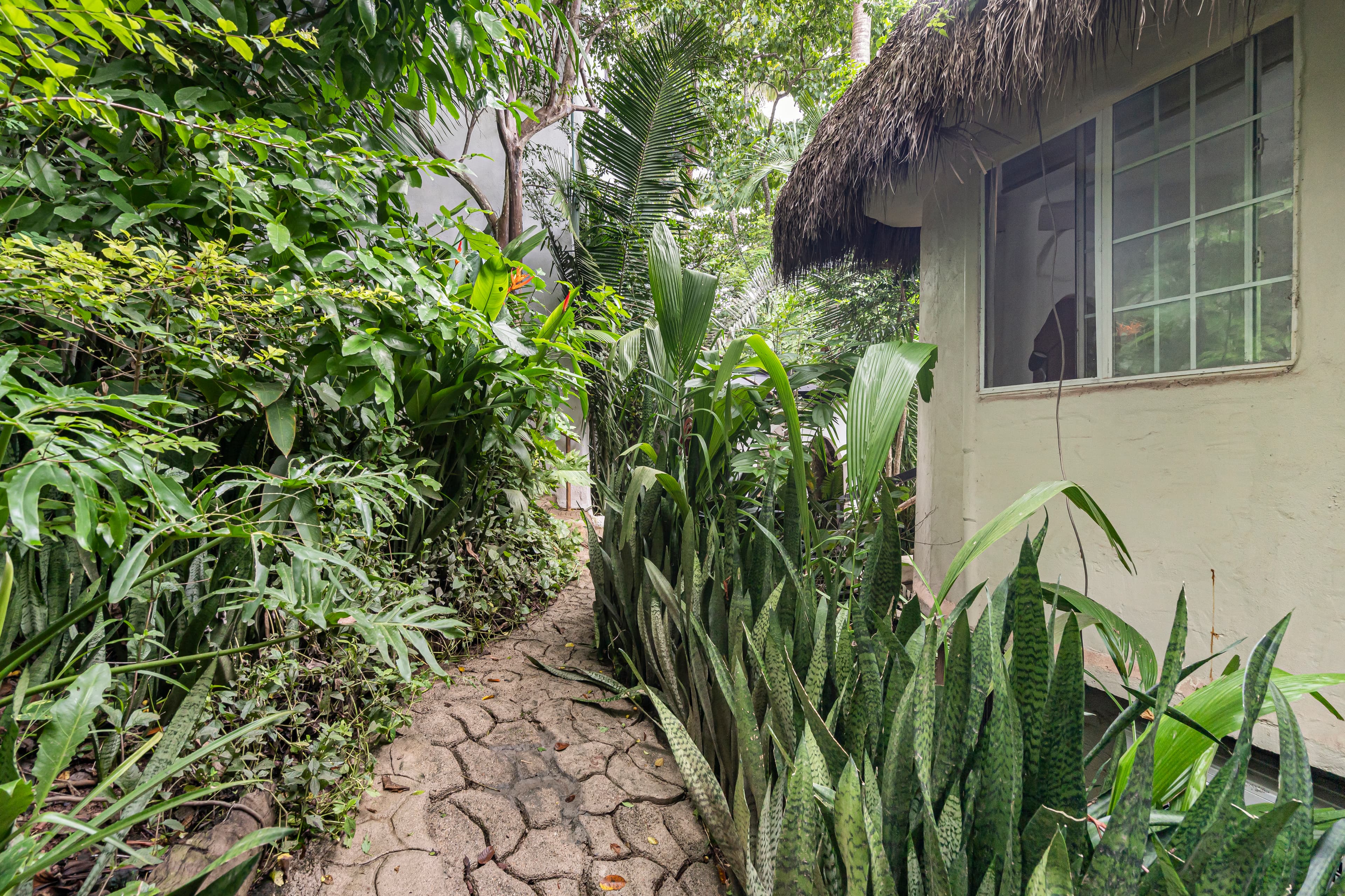 Exterior EcoSoul Vallarta 4