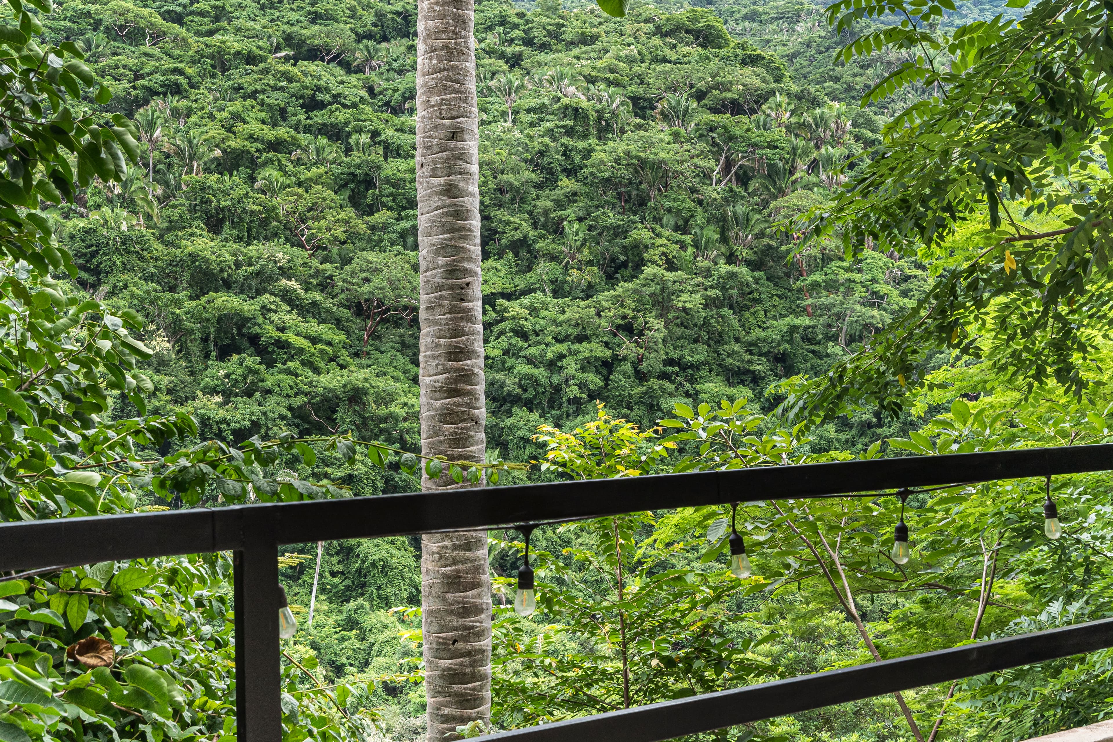 Exterior EcoSoul Vallarta 9